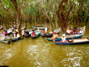 Tonle Sap - inundado bosque de manglar