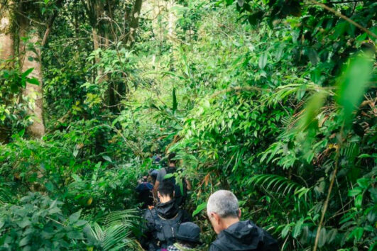 Jungle Adventure Tour in the Rainforests of Cambodia (4 Days / 3 Nights)