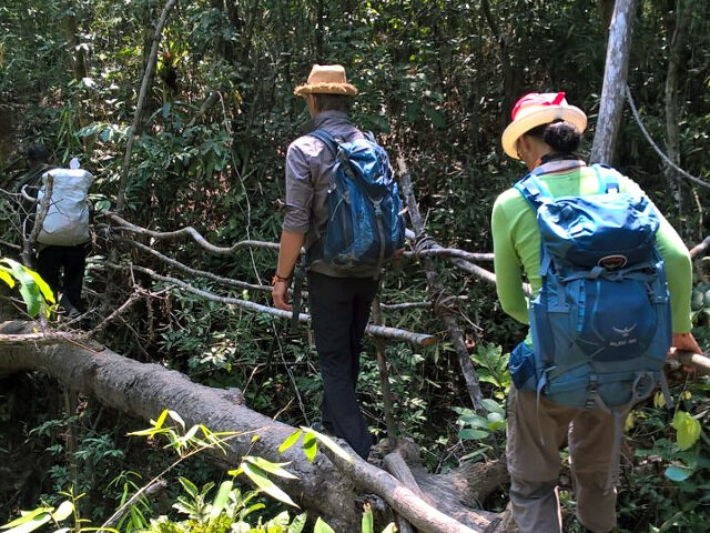 Chi Phat Trekking on a Jungle Trail