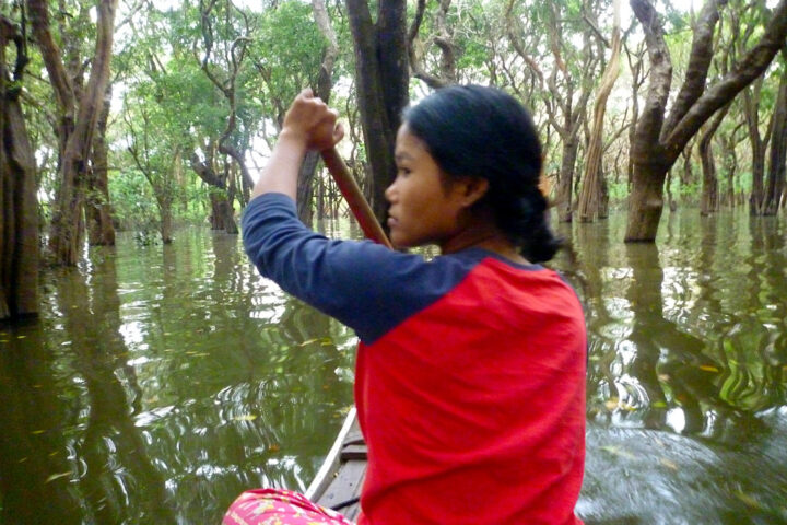 Row boat in the mangroves of Tonle Sap